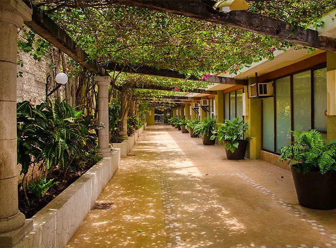 *** Hotel Suites Colonial Cozumel Mexico